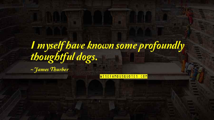 Aoide Chamber Quotes By James Thurber: I myself have known some profoundly thoughtful dogs.