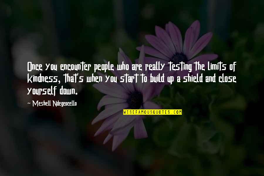 Aol's Quotes By Meshell Ndegeocello: Once you encounter people who are really testing