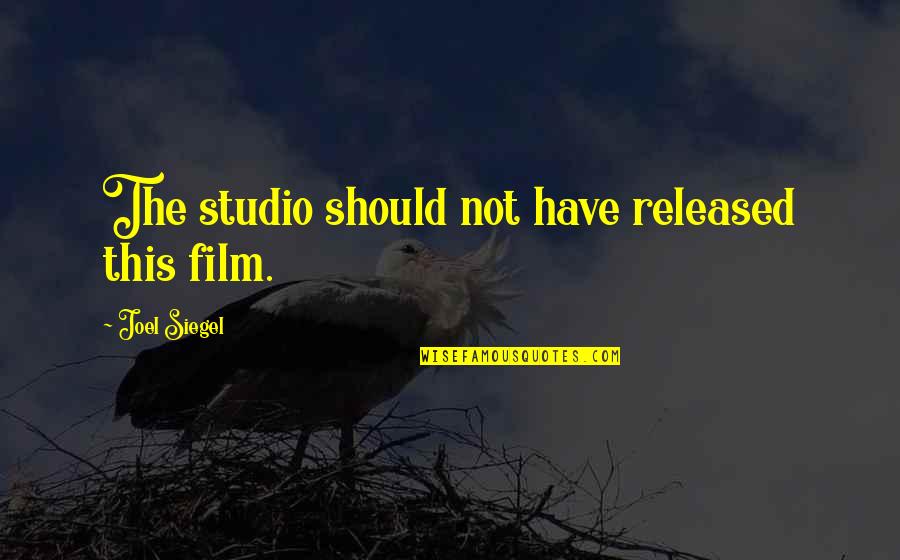 Aonghas Grant Quotes By Joel Siegel: The studio should not have released this film.