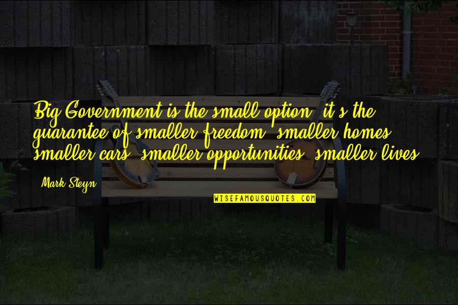 Aonian Quotes By Mark Steyn: Big Government is the small option: it's the Aonian Quotes By Mark Steyn: Big Government is the small option: it's the