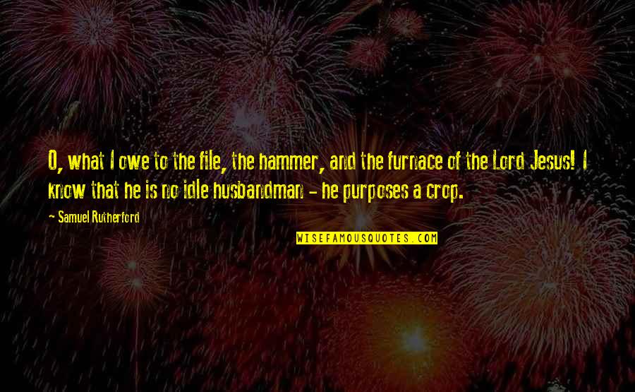 Aonika Quotes By Samuel Rutherford: O, what I owe to the file, the
