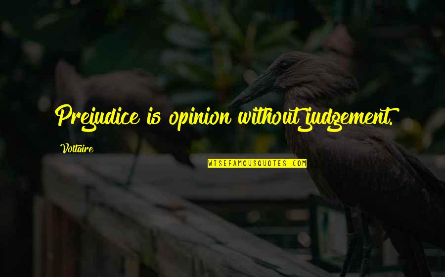 Ap Style Partial Quotes By Voltaire: Prejudice is opinion without judgement.