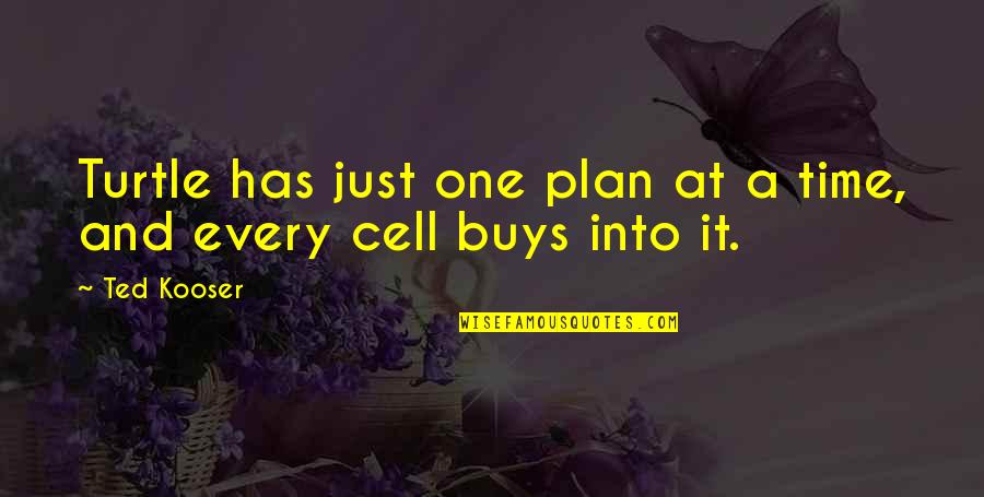 Apa Maksud Dari Quotes By Ted Kooser: Turtle has just one plan at a time,