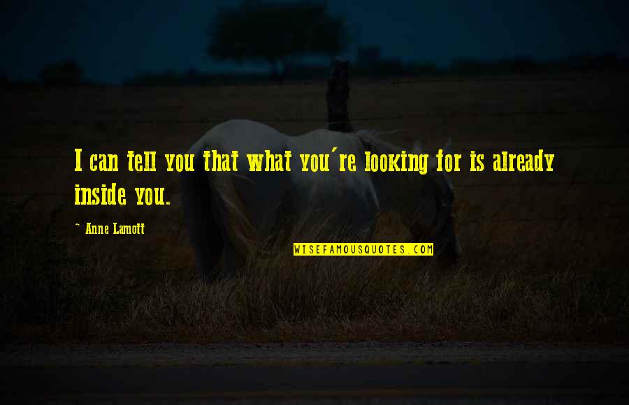 Apache Tribe Quotes By Anne Lamott: I can tell you that what you're looking