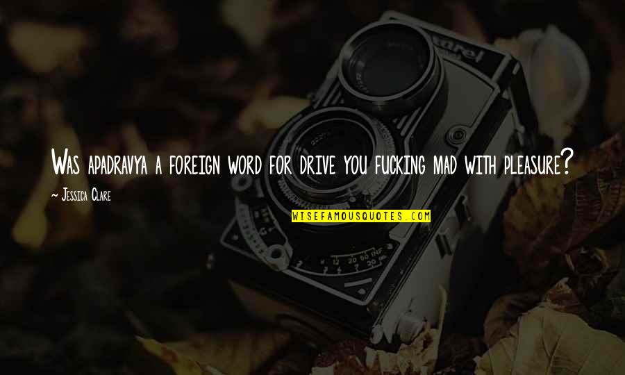 Apadravya Quotes By Jessica Clare: Was apadravya a foreign word for drive you