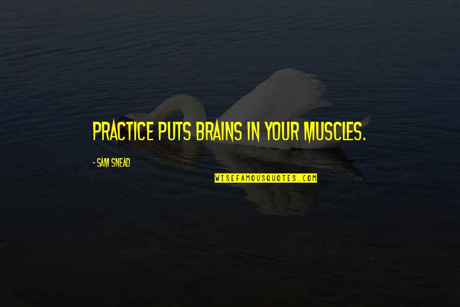 Apaguemos Quotes By Sam Snead: Practice puts brains in your muscles. Apaguemos Quotes By Sam Snead: Practice puts brains in your muscles.