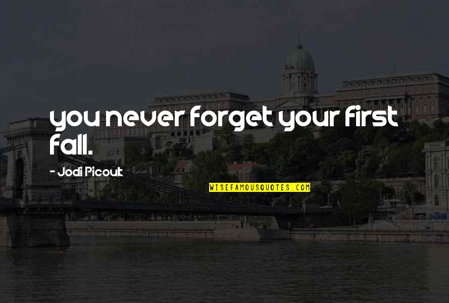 Apanho No Afro Quotes By Jodi Picoult: you never forget your first fall.