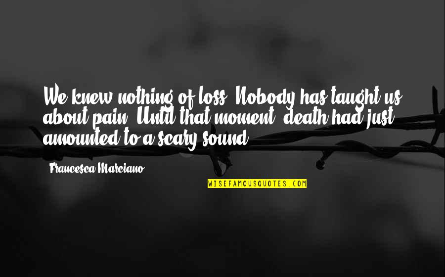 Apariencia Sinonimo Quotes By Francesca Marciano: We knew nothing of loss. Nobody has taught