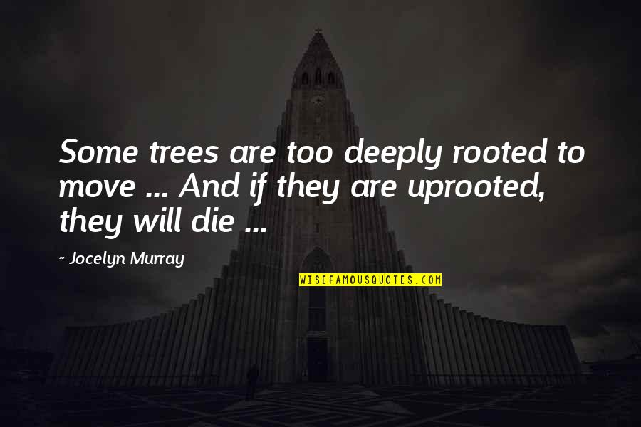 Apariencias Sinonimos Quotes By Jocelyn Murray: Some trees are too deeply rooted to move