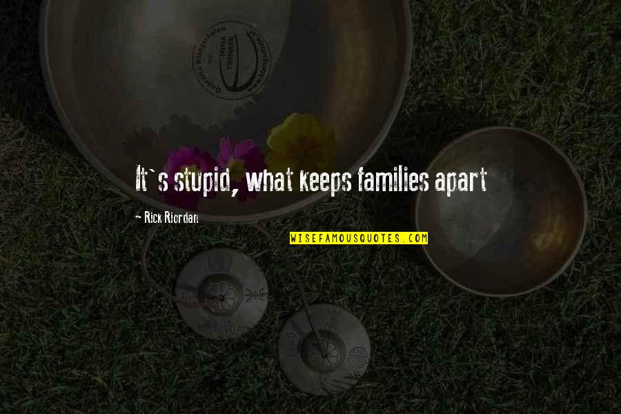 Apart From Family Quotes By Rick Riordan: It's stupid, what keeps families apart