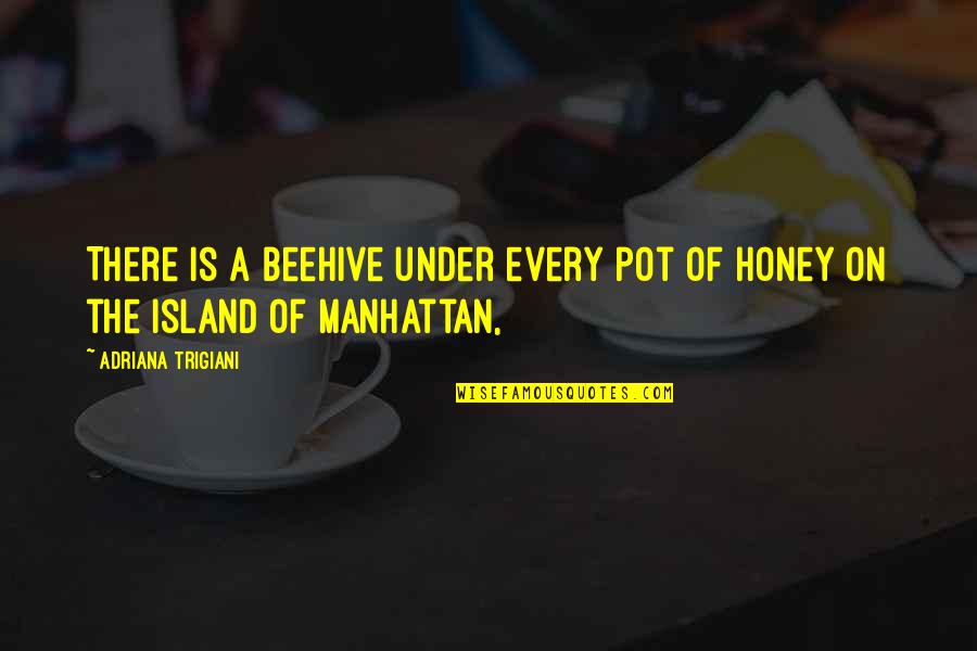 Apartar La Quotes By Adriana Trigiani: There is a beehive under every pot of Apartar La Quotes By Adriana Trigiani: There is a beehive under every pot of