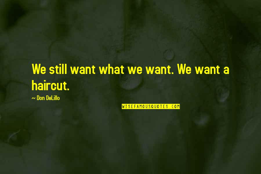 Apatheism Quotes By Don DeLillo: We still want what we want. We want