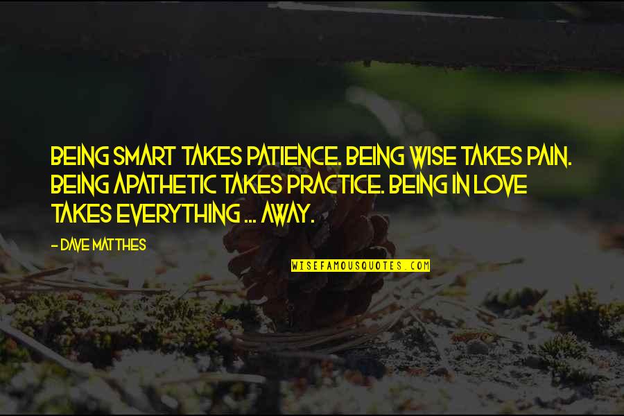 Apathetic Love Quotes By Dave Matthes: Being smart takes patience. Being wise takes pain.