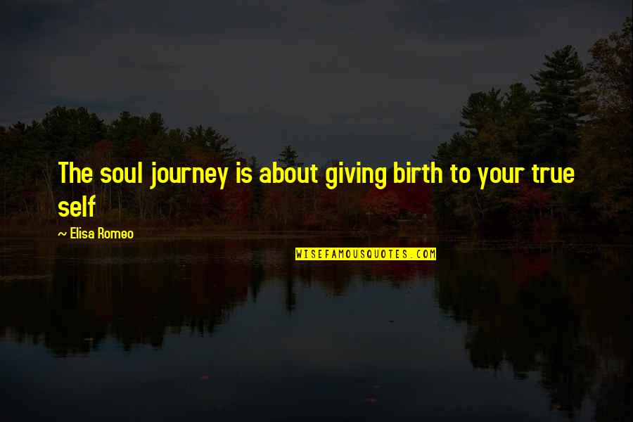 Apathies Quotes By Elisa Romeo: The soul journey is about giving birth to