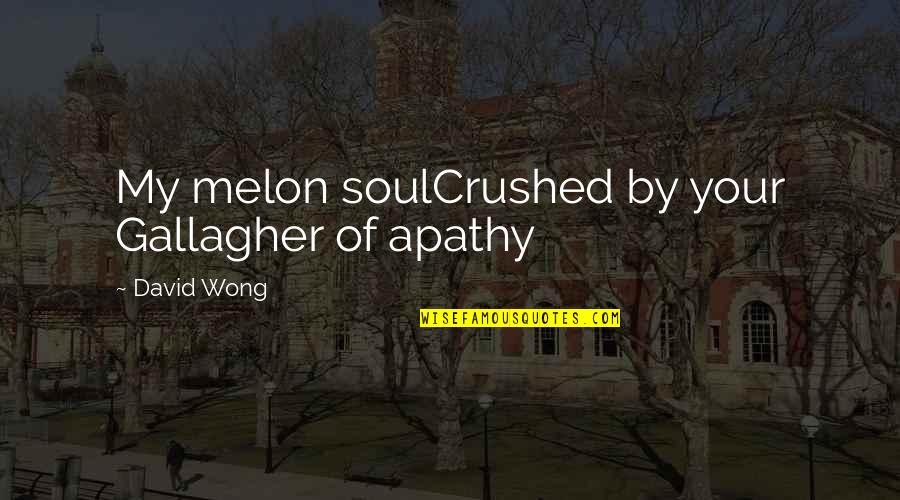 Apathy Funny Quotes By David Wong: My melon soulCrushed by your Gallagher of apathy