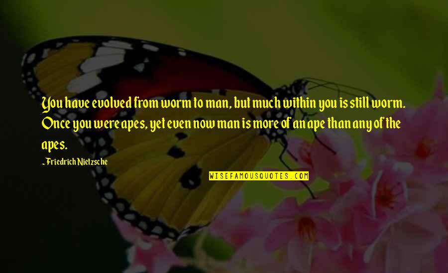 Ape Quotes By Friedrich Nietzsche: You have evolved from worm to man, but