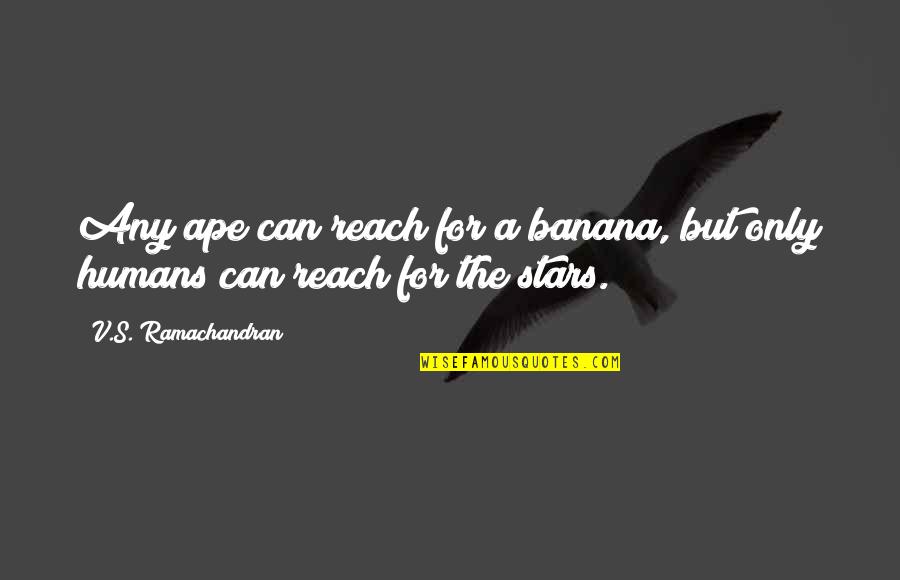 Ape Quotes By V.S. Ramachandran: Any ape can reach for a banana, but