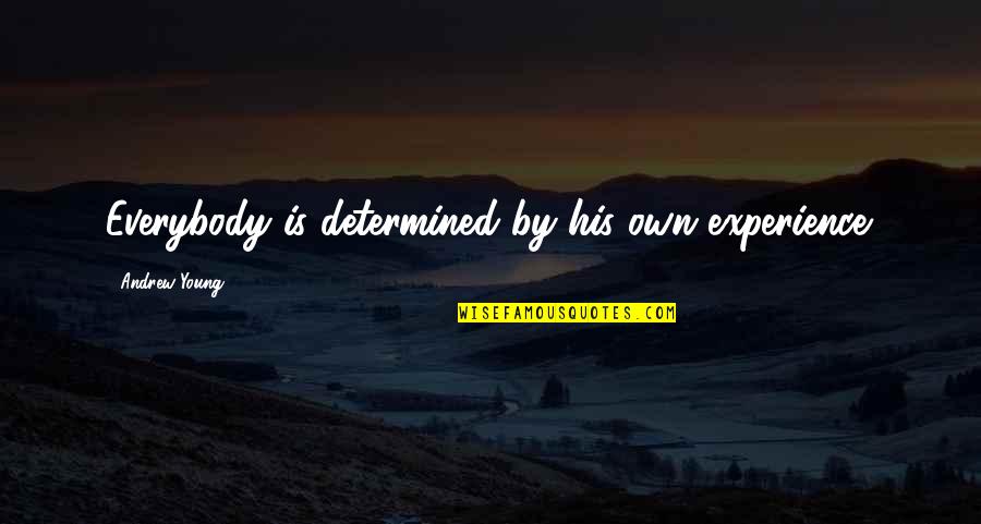 Apellidarse Quotes By Andrew Young: Everybody is determined by his own experience.