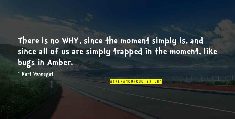 Aperception Quotes By Kurt Vonnegut: There is no WHY, since the moment simply