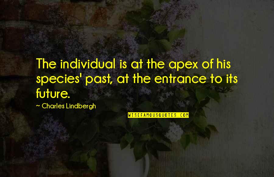 Apex Quotes By Charles Lindbergh: The individual is at the apex of his