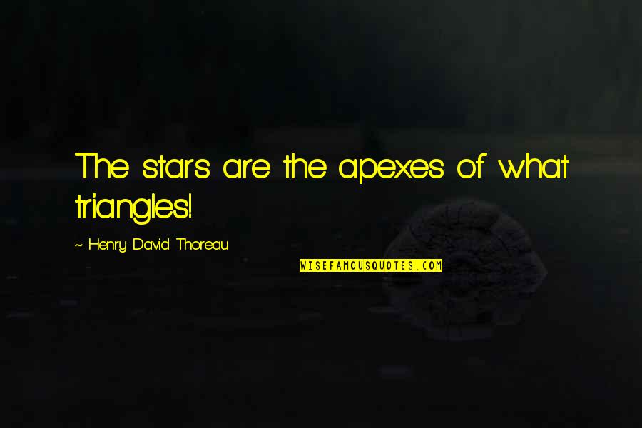 Apexes Quotes By Henry David Thoreau: The stars are the apexes of what triangles!