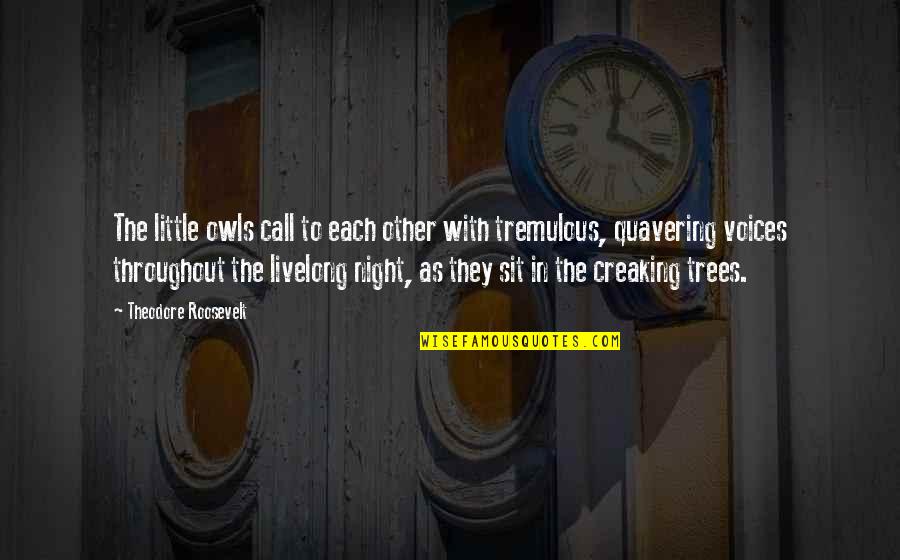 Aphis Pet Quotes By Theodore Roosevelt: The little owls call to each other with