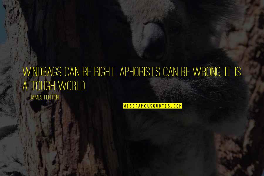 Aphorists Quotes By James Fenton: Windbags can be right. Aphorists can be wrong.