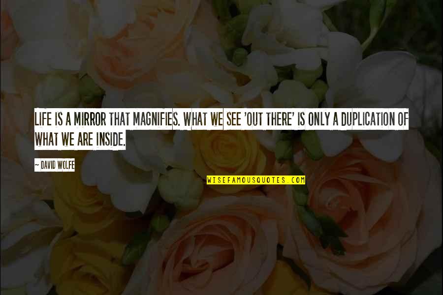 Aphrodisiac Scents Quotes By David Wolfe: Life is a mirror that magnifies. What we Aphrodisiac Scents Quotes By David Wolfe: Life is a mirror that magnifies. What we