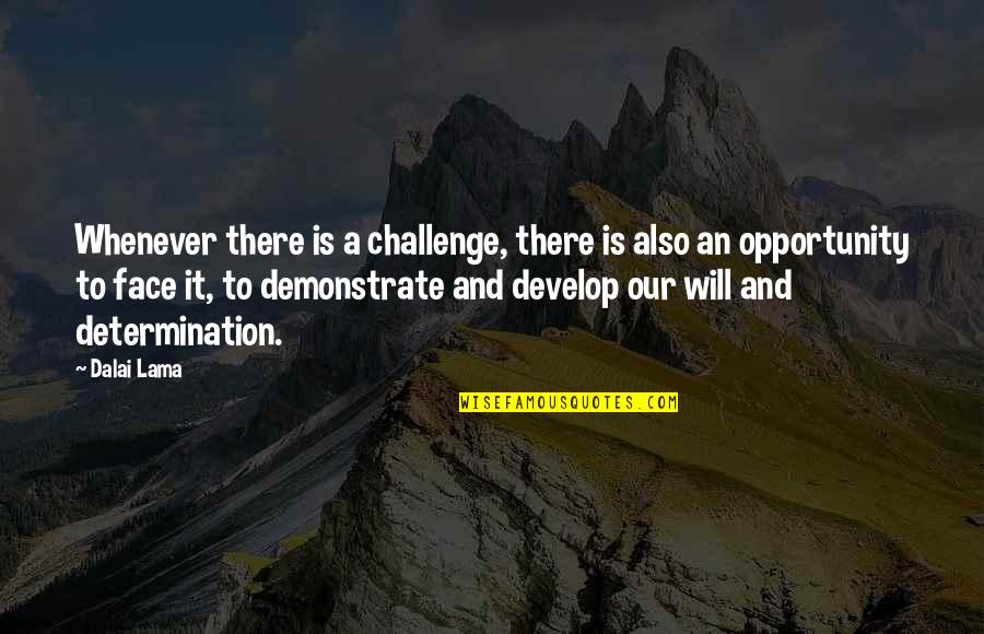 Apimtis Quotes By Dalai Lama: Whenever there is a challenge, there is also