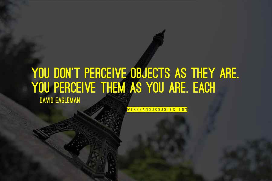 Apiradee Synsukpermpoon Quotes By David Eagleman: You don't perceive objects as they are. You