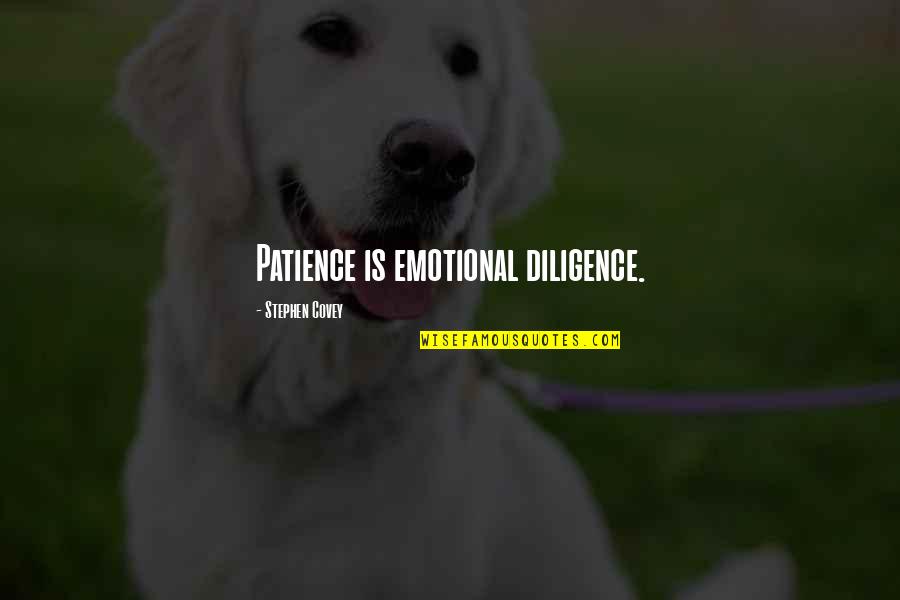 Apni Aulad Quotes By Stephen Covey: Patience is emotional diligence.