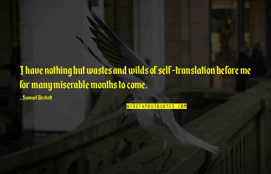 Apocalisse Testo Quotes By Samuel Beckett: I have nothing but wastes and wilds of