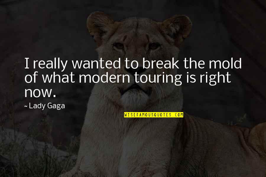Apollo The God Quotes By Lady Gaga: I really wanted to break the mold of