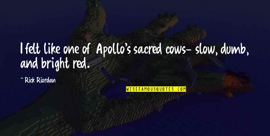 Apollo's Quotes By Rick Riordan: I felt like one of Apollo's sacred cows-