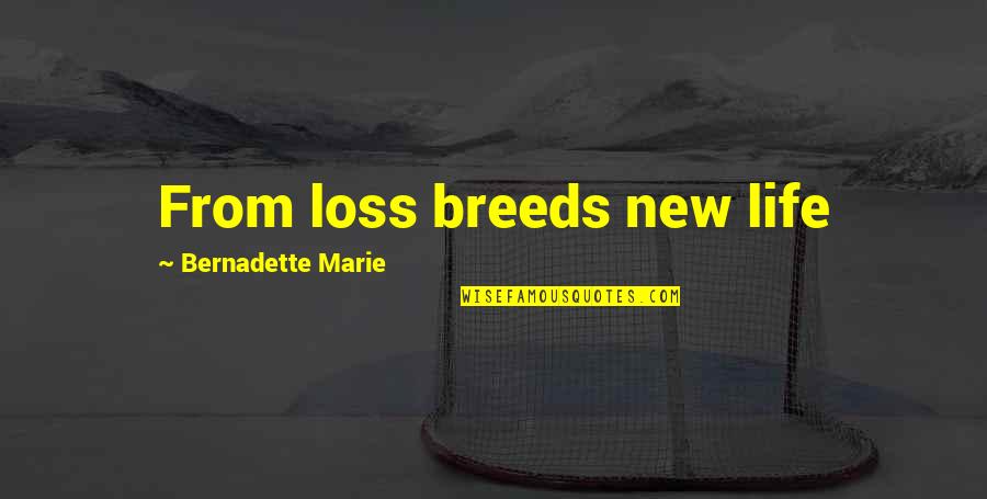 Apologetics Love Quotes By Bernadette Marie: From loss breeds new life