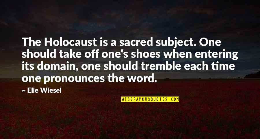 Apologetics To Salvation Quotes By Elie Wiesel: The Holocaust is a sacred subject. One should