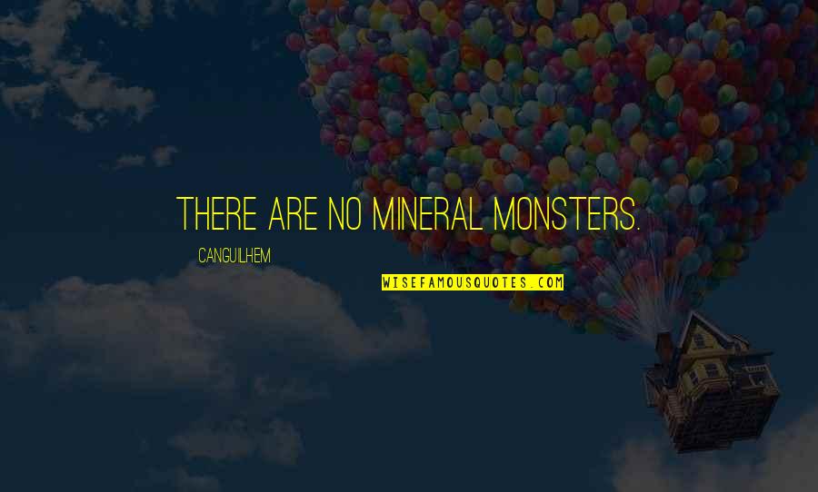 Apologies For Things You Didnt Do Quotes By Canguilhem: There are no mineral monsters.