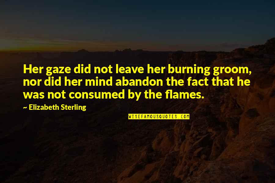 Apologised Sign Quotes By Elizabeth Sterling: Her gaze did not leave her burning groom,