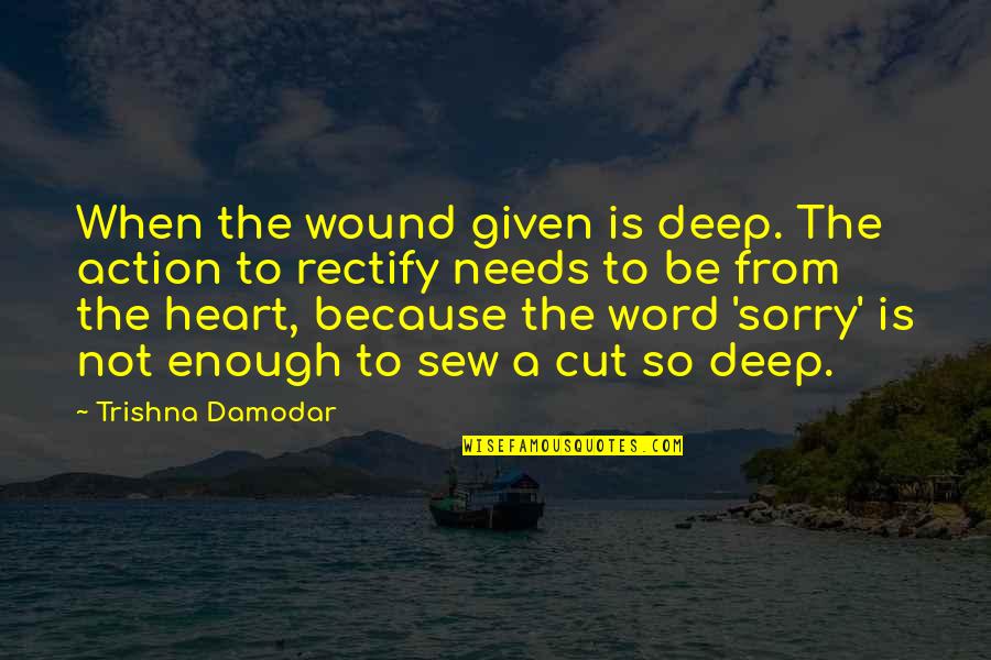 Apology Is Not Enough Quotes By Trishna Damodar: When the wound given is deep. The action