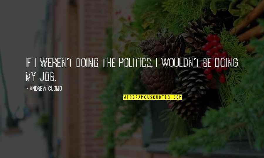 Apontar Para Quotes By Andrew Cuomo: If I weren't doing the politics, I wouldn't Apontar Para Quotes By Andrew Cuomo: If I weren't doing the politics, I wouldn't