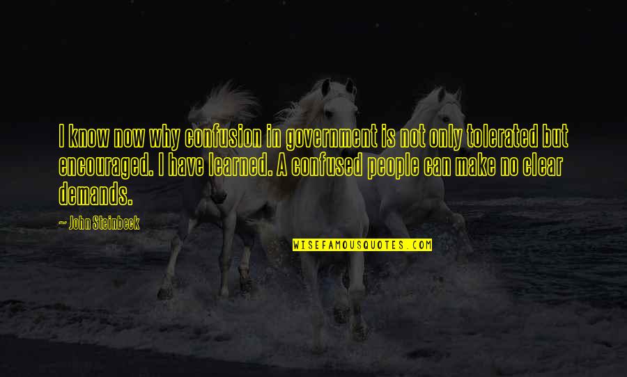 Apophthegmata Quotes By John Steinbeck: I know now why confusion in government is