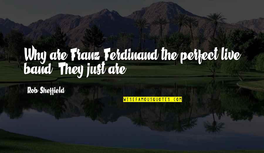 Apostate Jehovahs Witnesses Quotes By Rob Sheffield: Why are Franz Ferdinand the perfect live band?