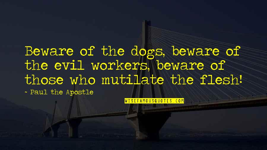 Apostle Paul Quotes By Paul The Apostle: Beware of the dogs, beware of the evil Apostle Paul Quotes By Paul The Apostle: Beware of the dogs, beware of the evil