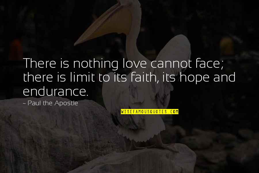 Apostle Paul Quotes By Paul The Apostle: There is nothing love cannot face; there is