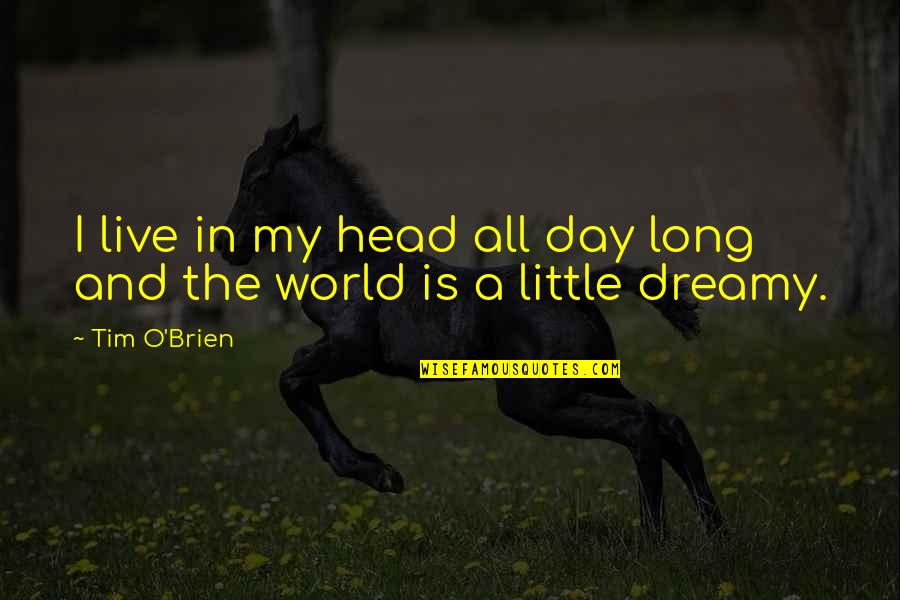 Apostolski Neurolog Quotes By Tim O'Brien: I live in my head all day long