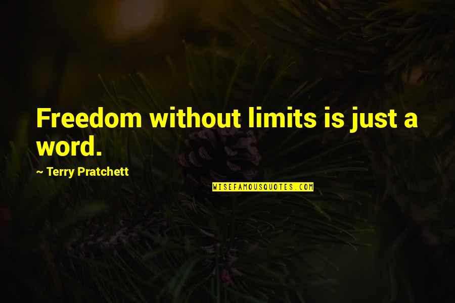 Apparatchiks Apparel Quotes By Terry Pratchett: Freedom without limits is just a word.