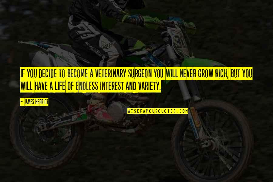 Apparatix Quotes By James Herriot: If you decide to become a veterinary surgeon