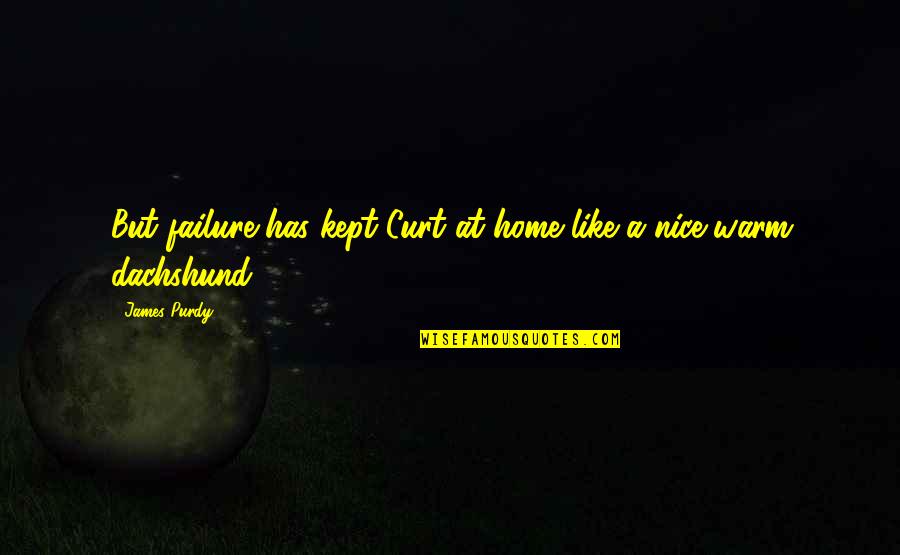 Appareled In Celestial Light Quotes By James Purdy: But failure has kept Curt at home like