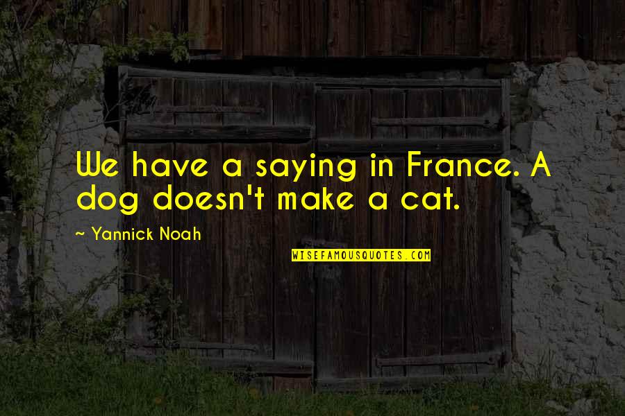 Appareled In Celestial Light Quotes By Yannick Noah: We have a saying in France. A dog Appareled In Celestial Light Quotes By Yannick Noah: We have a saying in France. A dog