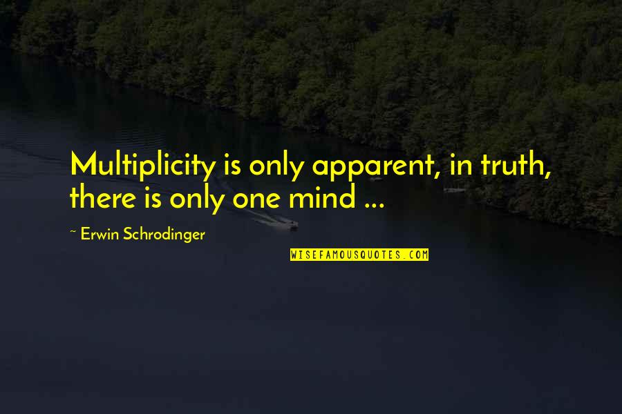 Apparent Quotes By Erwin Schrodinger: Multiplicity is only apparent, in truth, there is